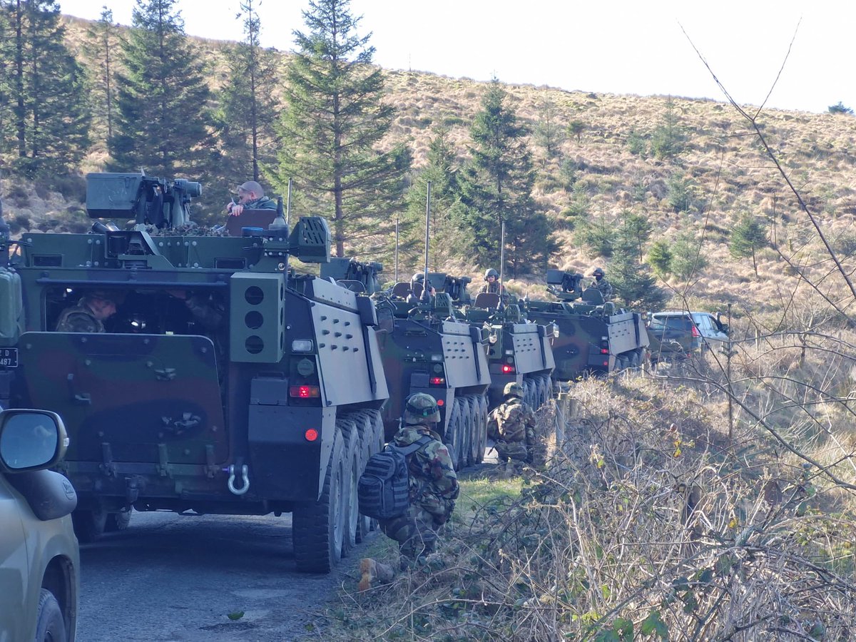 Defence Forces Cavalry Corps tweet media