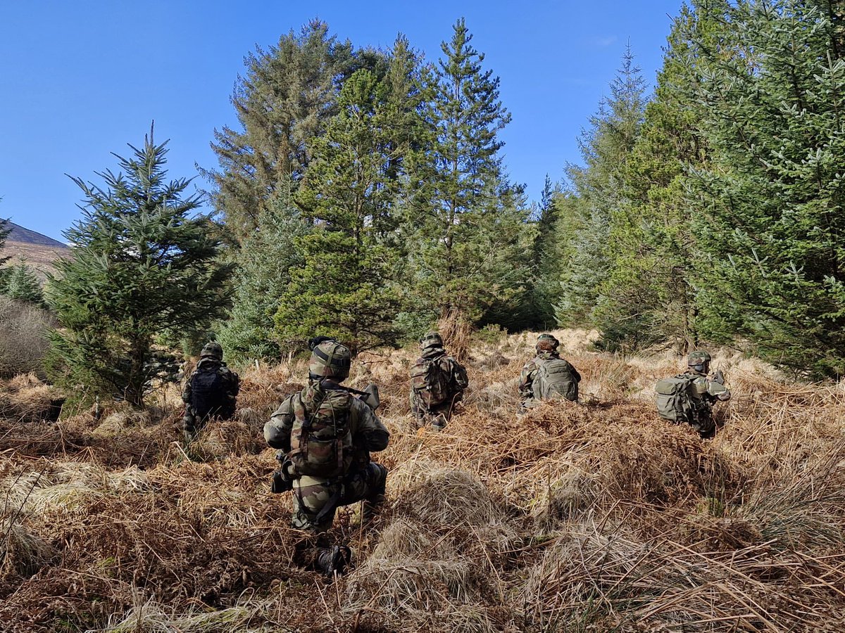 Defence Forces Cavalry Corps tweet media