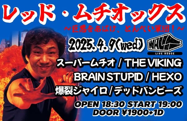 BRAIN STUPID (@brainstupidband) / X