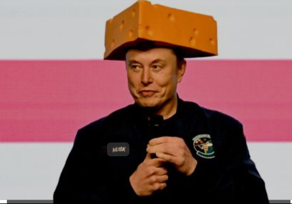 Elon Musk is gonna kill all of his brands.