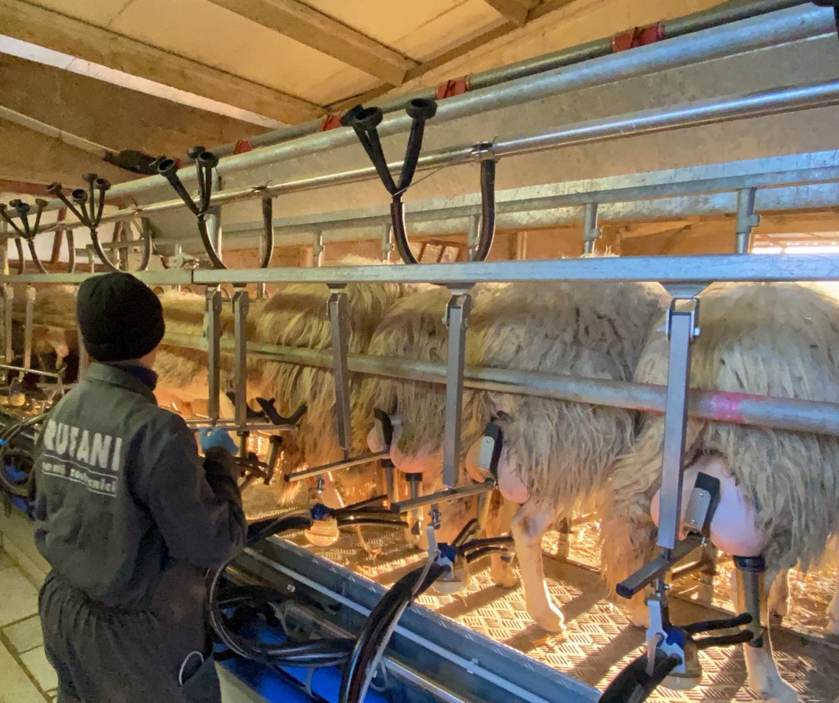 AEDIT srl tweet media