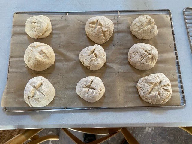 UCSModLangs's tweet image. After breakfast this morning, they tried their hand at traditional breadmaking and embarked on a treasure hunt in teams, also involving some archery!