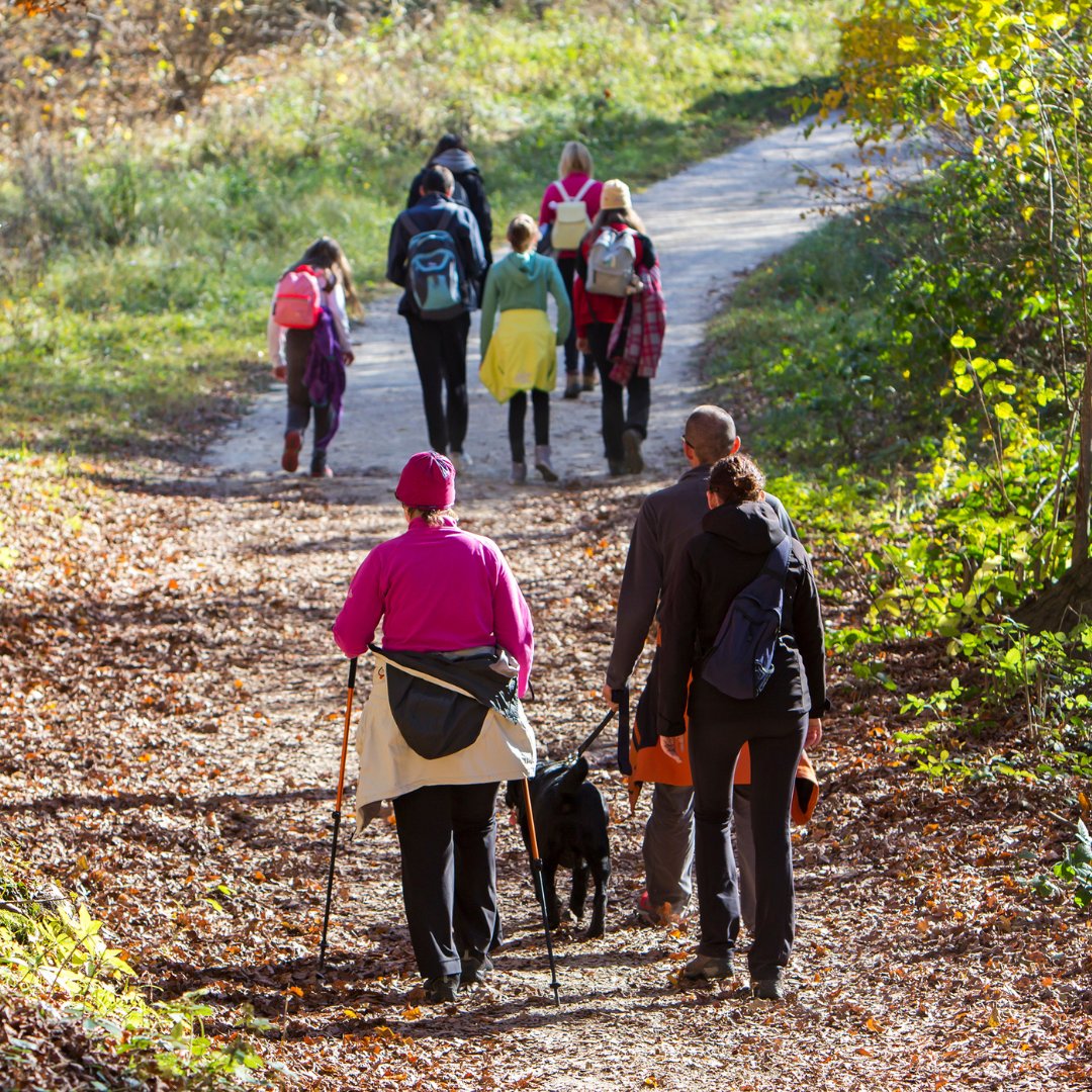 Happy National Walking Day! 🚶‍♂️ Walking is one of the easiest ways to stay active and improve your health. What’s your favourite walking route? Let us know! 👇

#NationalWalkingDay #MedTree #StayHealthy #BePrepared #WalkWithCare #HealthMatters