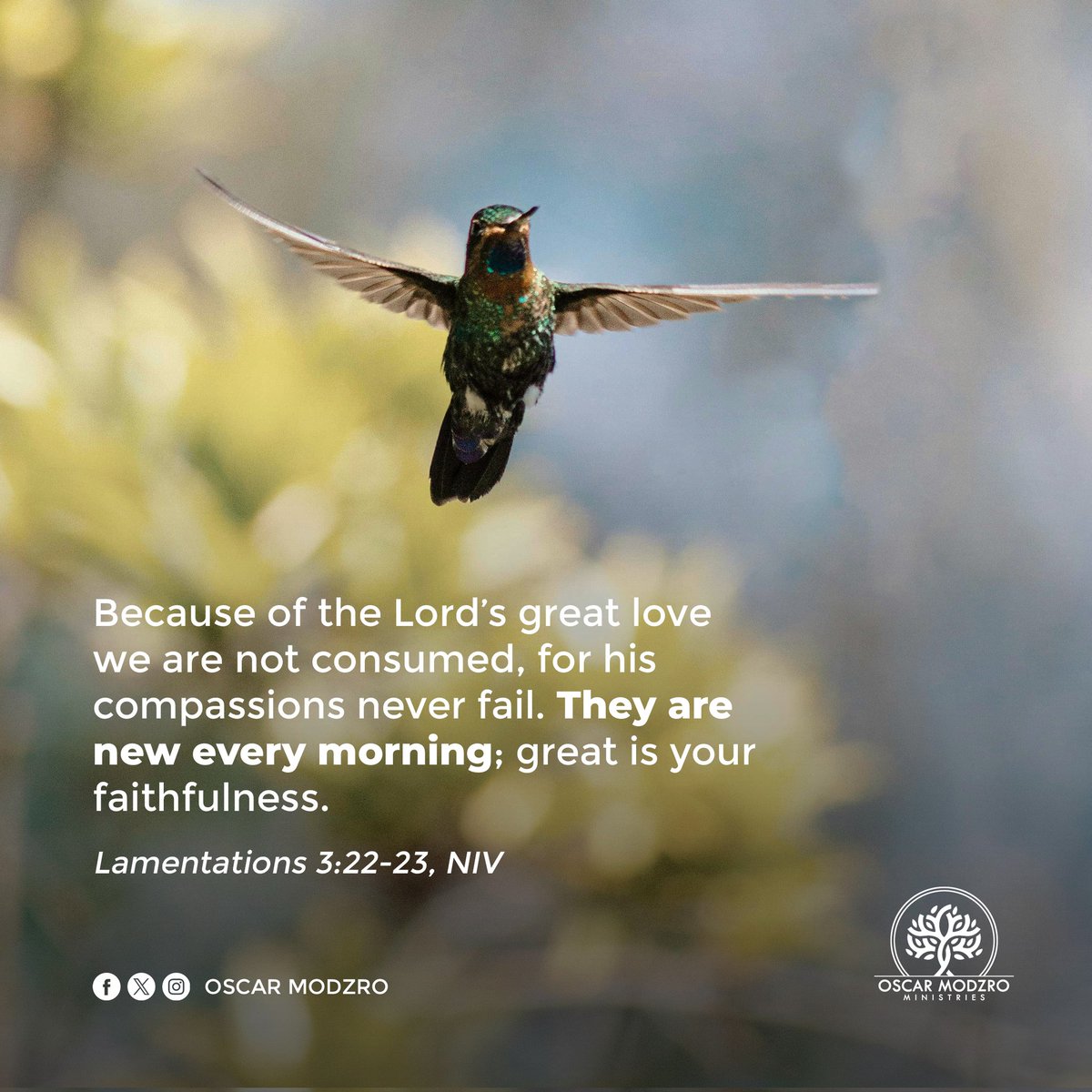 OscarModzro's tweet image. This is a reminder to you that the love and compassion God has for you is constant and new every day. God does not love you less today than He did yesterday. He is a faithful God and so is His love towards us. Take advantage of that love because in it lies divine protection.