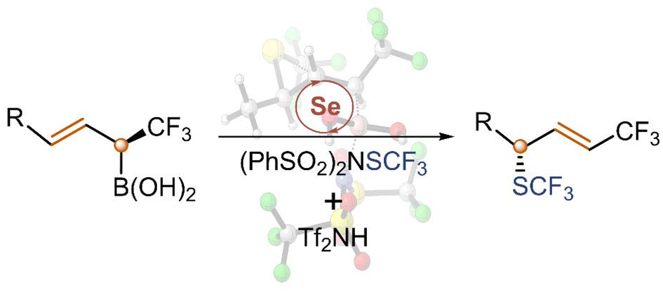OrgChemFront's tweet image. Check out the recent #open_access article

&quot;Mechanism of formation of chiral allyl SCF₃ compounds 𝘷𝘪𝘢 selenium-catalyzed sulfenofunctionalization of allylboronic acids&quot;

by Kalman J. Szabo, Fahmi Himo 𝘦𝘵 𝘢𝘭.
doi.org/10.1039/D4QO02…