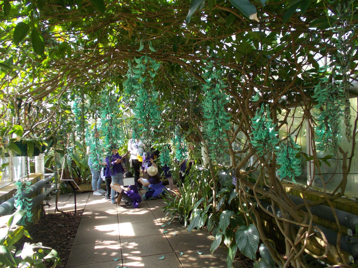 Year 2 had a fabulous day <a href="/CUBotanicGarden/">Cam Botanic Garden</a> yesterday. #outdoorlearning #sunshine