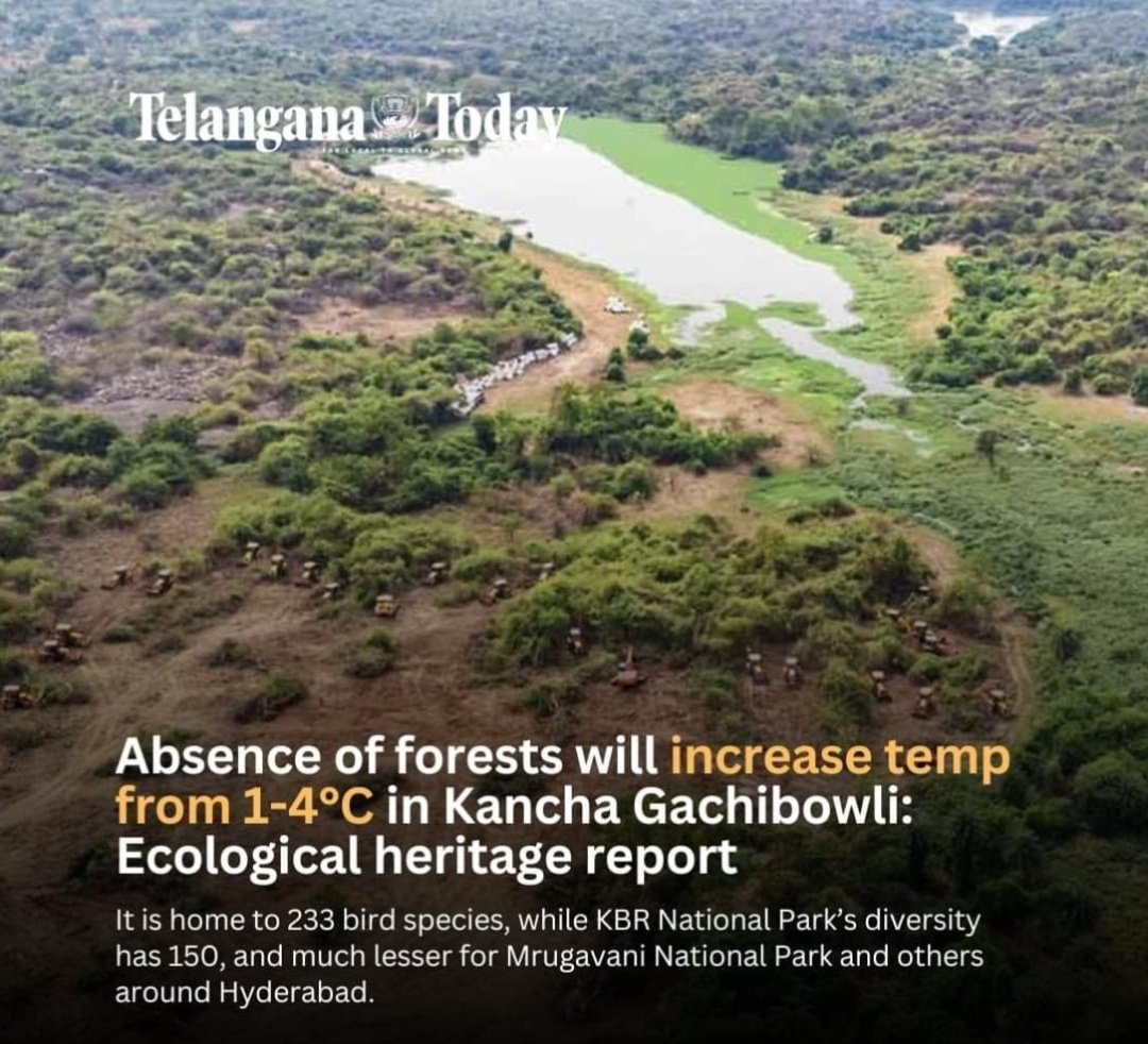 TYRRao1's tweet photo. Is this progression or regression?
UOH - 400 acres of life erased.

Thisn'j just land - its home to countless species.

Yet, in the name of development, we replace forests with concrete, birdsong with silence. Irreversible loss
@UNFCCC
@PMOIndia
#SaveHCU
#SaveHCUBioDiversity https://t.co/uiceNZxHGx