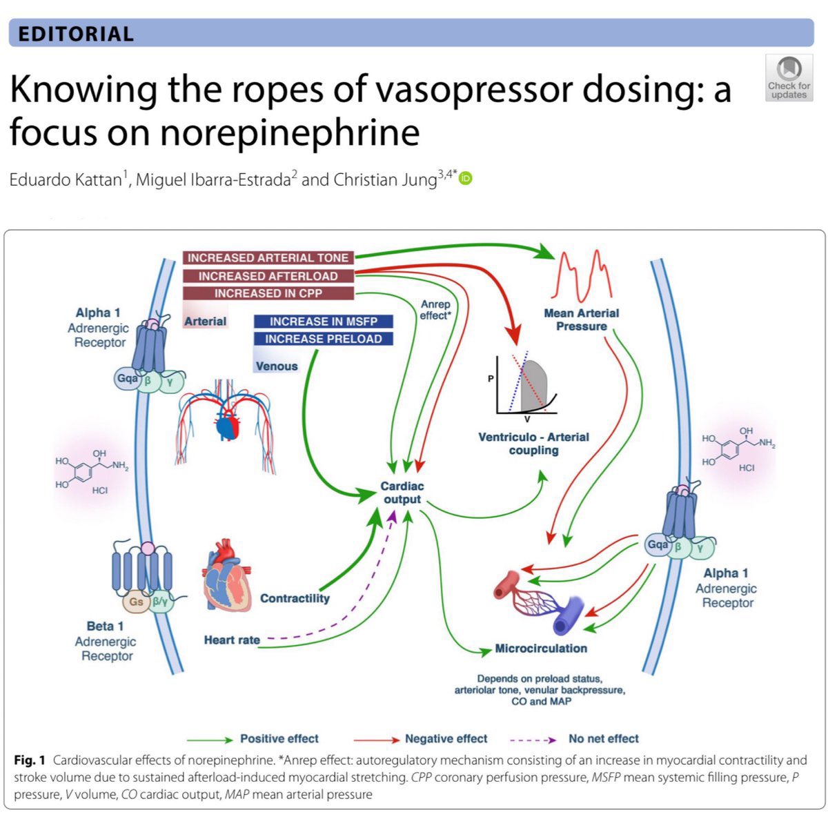 Eddy J. Gutierrez, MD (@eddyjoemd) on Twitter photo Norepinephrine is such a powerful vasopressor due to its effects on both cardiac output and SVR to increase the MAP. This image depicts how it affects the CO. 🎩 tip to the authors including <a href="/DrMiguelIbarra1/">Dr. Miguel Ibarra-Estrada</a>, <a href="/edu_kattan/">Eduardo Kattan</a> and <a href="/cjungMD/">Christian Jung</a>.
eddyjoemd.com/foamed/ Norepinephrine is such a powerful vasopressor due to its effects on both cardiac output and SVR to increase the MAP. This image depicts how it affects the CO. 🎩 tip to the authors including <a href="/DrMiguelIbarra1/">Dr. Miguel Ibarra-Estrada</a>, <a href="/edu_kattan/">Eduardo Kattan</a> and <a href="/cjungMD/">Christian Jung</a>.
eddyjoemd.com/foamed/