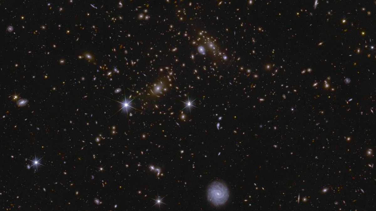 ESA's Euclid mission (@esa_euclid) on Twitter photo Can't get enough of the Q1 data delivered by #ESA_Euclid, our #DarkUniverse 🕵detective either?
Check out the press release from <a href="/EC_Euclid/">Euclid Consortium</a>, for more information on the data products and processing, as well as the first results using Q1 data 👉euclid-ec.org/public/press-r… Can't get enough of the Q1 data delivered by #ESA_Euclid, our #DarkUniverse 🕵detective either?
Check out the press release from <a href="/EC_Euclid/">Euclid Consortium</a>, for more information on the data products and processing, as well as the first results using Q1 data 👉euclid-ec.org/public/press-r…