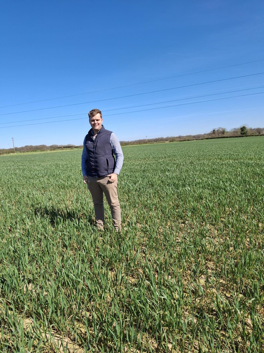 George reckons the best crops of LG Beowulf are to be found in Cheshire, feel free to tag us if you have a better one 😉