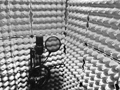 Ты хочешь сказать, что нам пора мутить домашнюю студию звукозаписи?