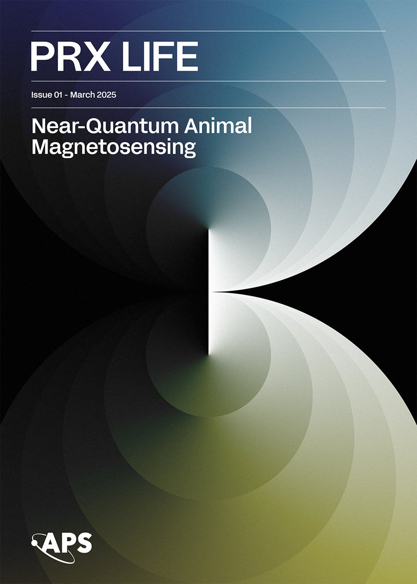 PRX_Life's tweet image. On the cover of our latest issue: how animal #magnetoreception may approach the quantum energy resolution limit, guiding advancements in biomimetic sensing.

Read the paper: go.aps.org/42itgsC