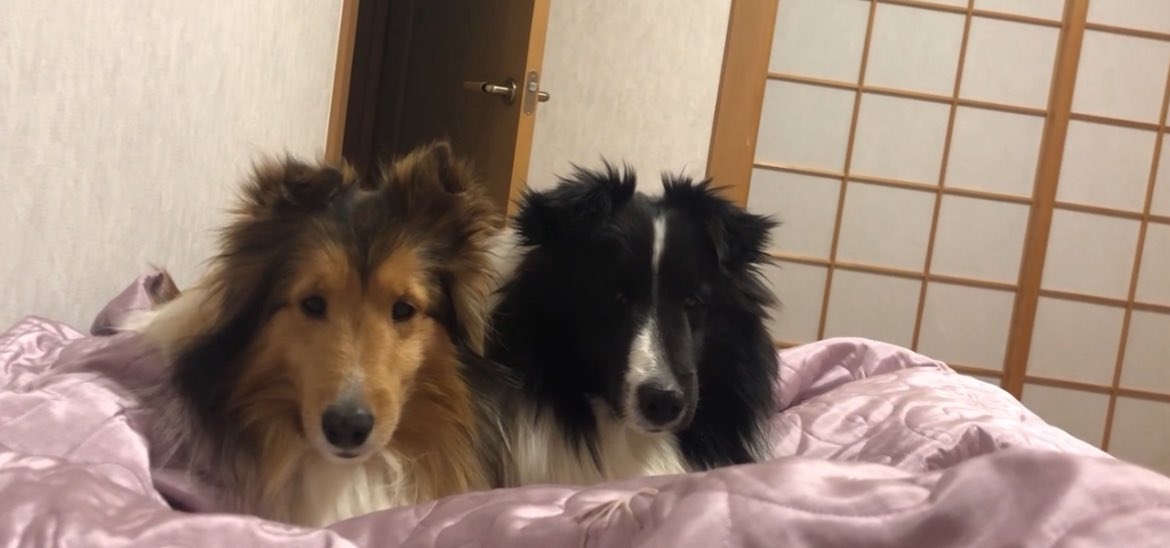 あいしてる
あいたい