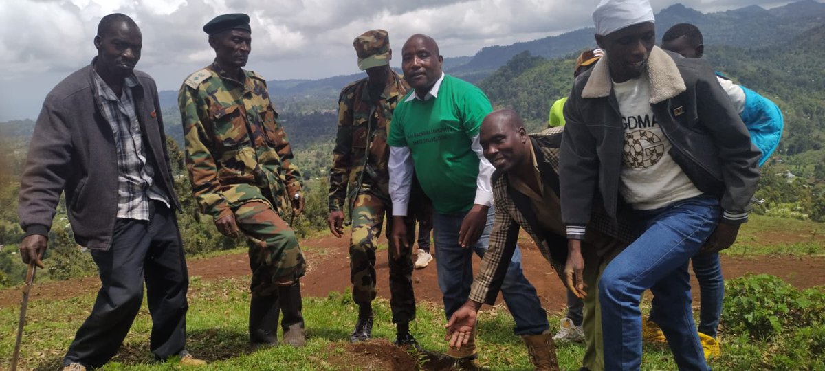 KPCG members from MAZINGIRA CBO in Igembe Central took a significant step towards environmental restoration by planting trees in Buathine Hills. This reforestation initiative aims to enhance biodiversity, combat soil erosion, and contribute to carbon sequestration, aligning