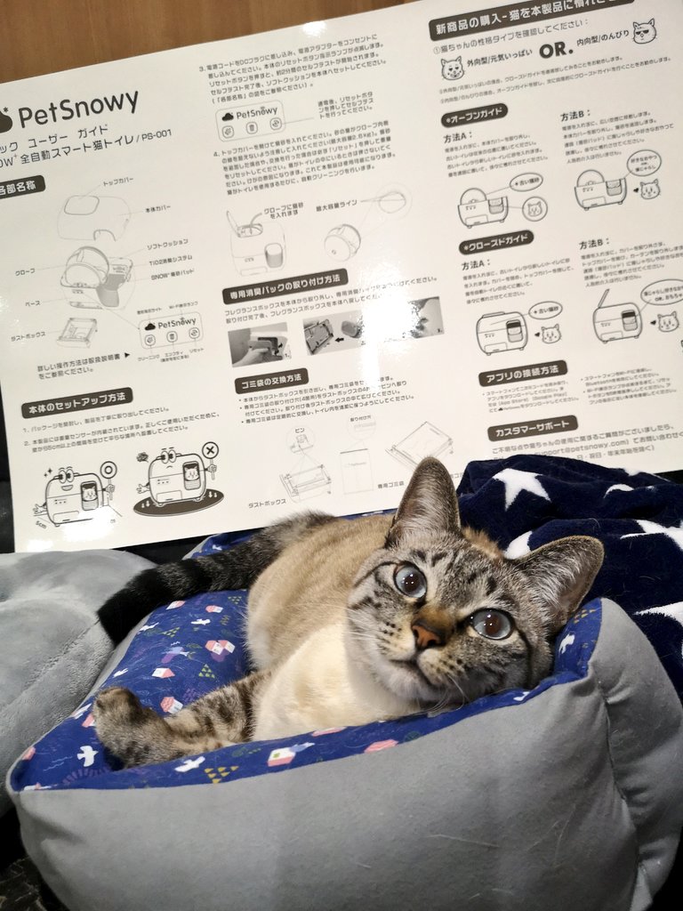 全自動スマート猫トイレ - Search / X 全自動スマート猫トイレ - Search / X