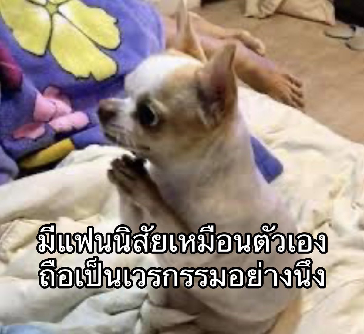 พากันล่มจม