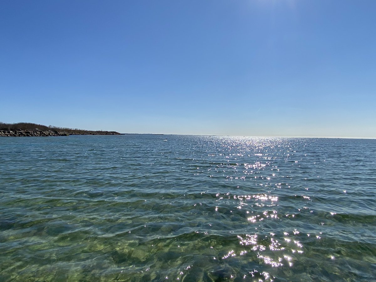 Last sampling trip for determining the effect of seagrass meadows on seasonal infauna/benthic biodiversity in Danish lagoon.

#seagrass #biodiversity

At Roskilde University / Environmental Science

Link to master’s degree at RUC: ruc.dk/en/master/envi…

<a href="/roskildeuni/">RUC</a> <a href="/seas_green/">Green Seas Lab</a>