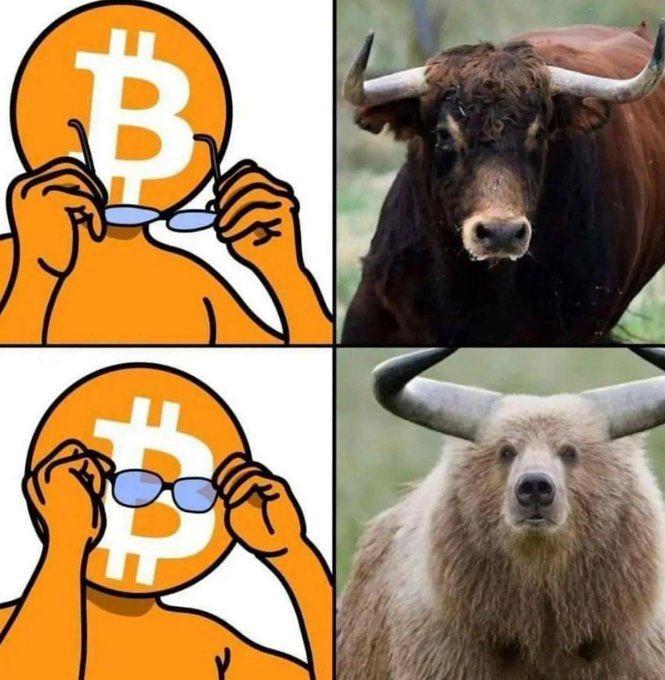 inkvestor_'s tweet photo. lol https://t.co/EaZMG3HYvI