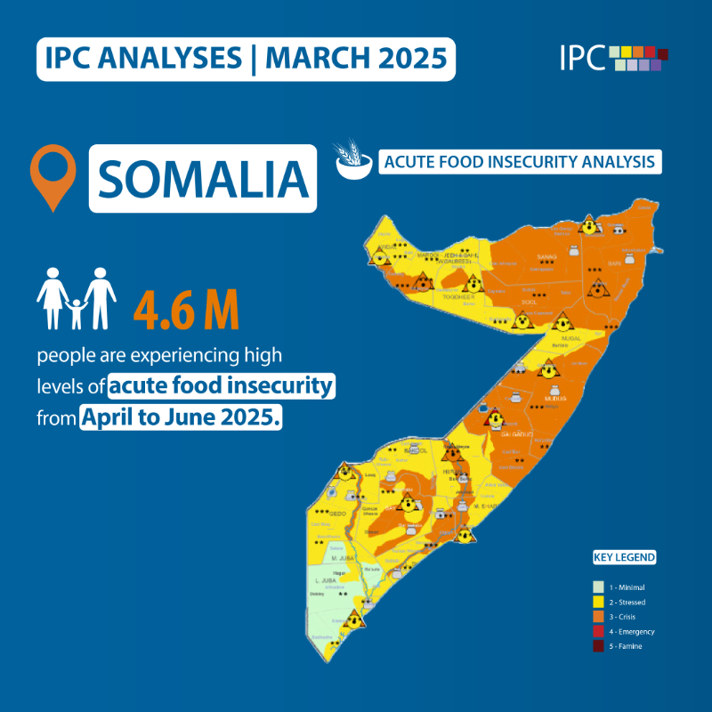 theIPCinfo's tweet photo. 📢 IN CASE YOU MISSED IT 

The IPC released four analyses 📊 in March on food insecurity and malnutrition in Somalia 🇸🇴, DR Congo 🇨🇩, Kenya 🇰🇪, and Chad 🇹🇩. 

@TheIPCinfo #FoodInsecurity #Malnutrition