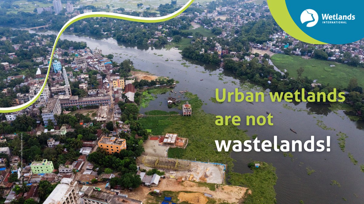 It's time to rethink urban planning!🏙️

🌱Cities must integrate wetlands into master plans as critical infrastructures to combat climate change intensified heat waves. A well-preserved urban wetland can reduce local temperatures by up to 2°C!

#CoolCities #WetlandWednesdays #NBS