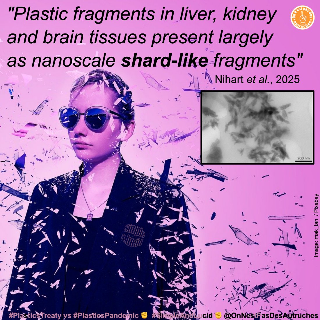 PasDesAutruches's tweet photo. When you consider the extent to which a single splinter can cause deep, irreversible damage to the body's outer tissues, such as the skin, you'd rather not have millions of tiny splinters inside you. But it's too late. Some of them have already bio-accumulated inside us. #SimpleAndLucid
The question now is what to do to avoid more extensive, even fatal, contamination of the liver, kidneys, brain, etc.
Spread the word to help build a strong and realistic #PlasticsTreaty to combat the #PlasticsPandemic ✊