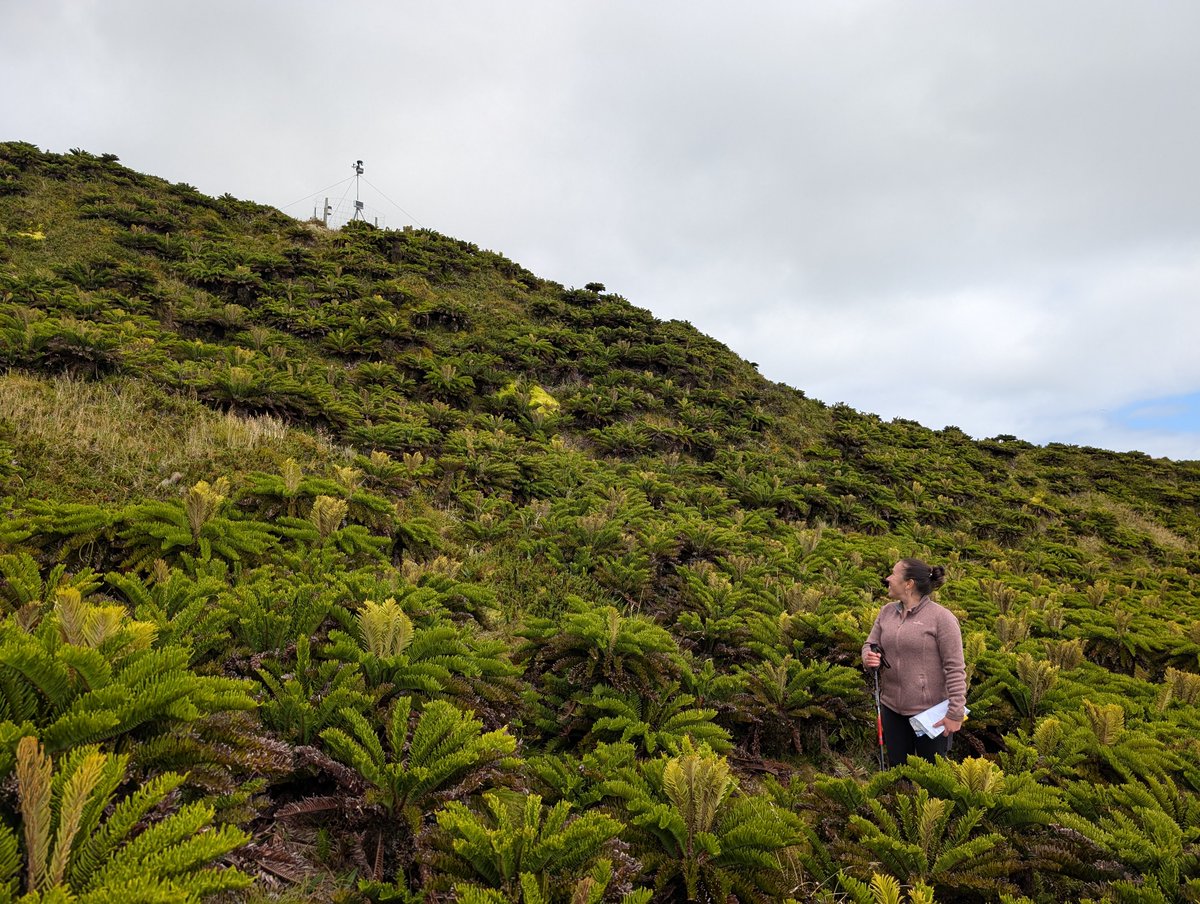 Neil Golding tweet media