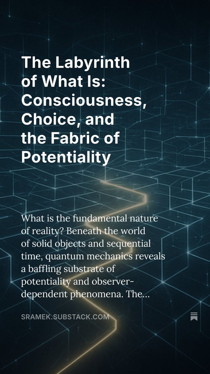 Petr Sramek tweet media