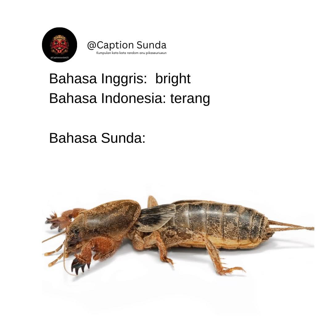 Ketawa itu GRATIS 🛩 tweet media