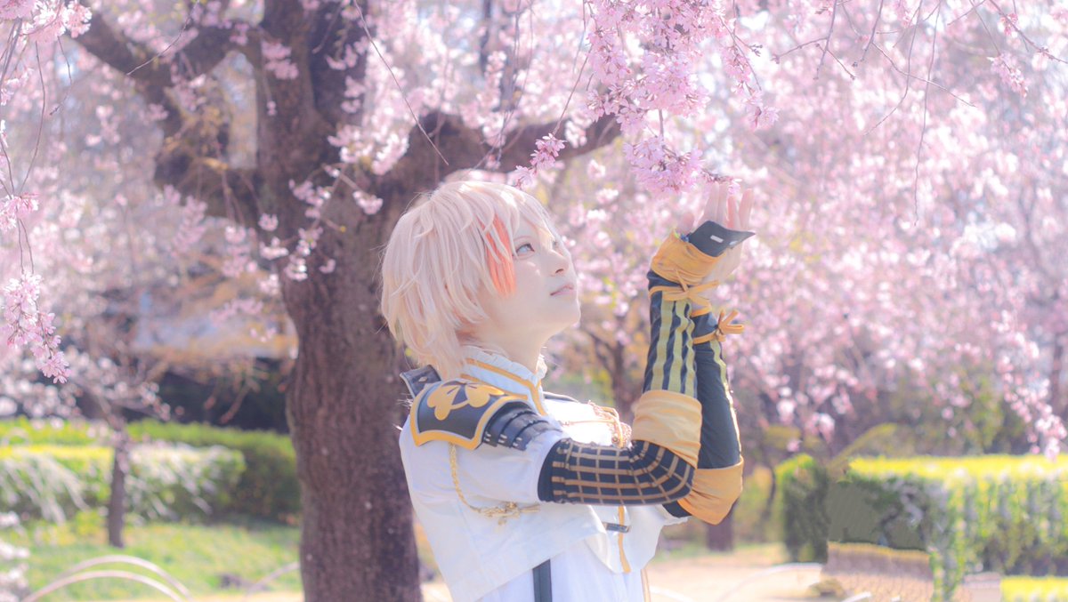 cos/物吉貞宗

･:*+.

春の日差し

･:*+.