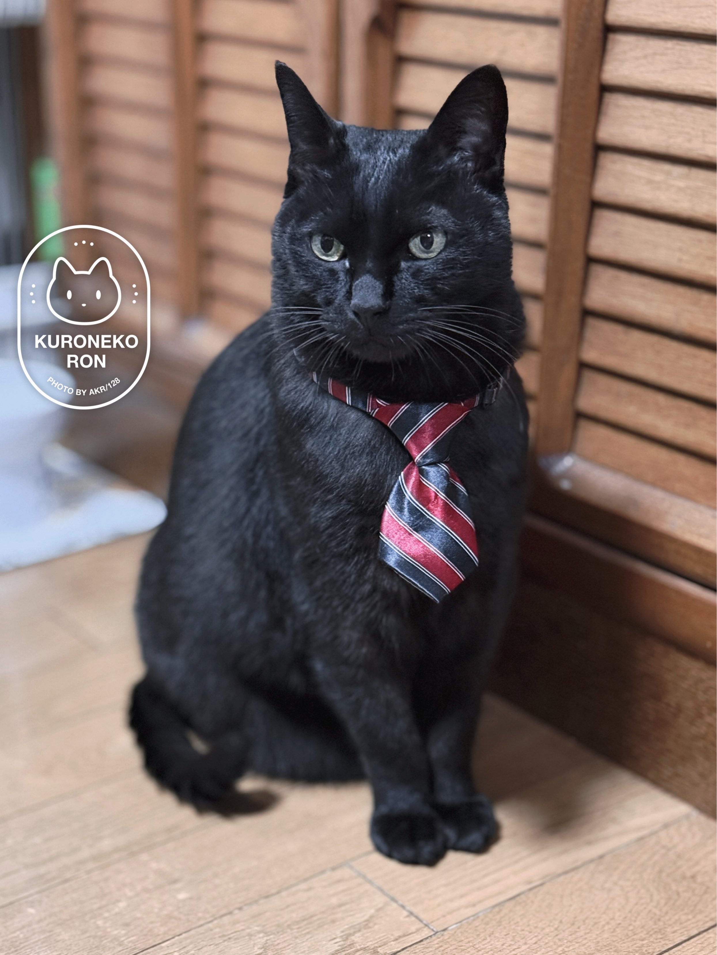 黒猫 on X: 
