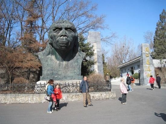 evolution_soup's tweet image. NEXT on Evolution Soup YouTube channel: Paleoanthropologist Professor CHRISTOPHER BAE returns to give the definitive account of the Peking Man fossils and their mysterious disappearance. @paleobae
#evolutionsoup #evolution #paleontology #fossils #paleoanthropology #science