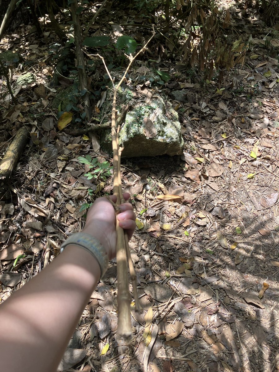 在所有關係結束後，想實踐的念頭瘋狂噴出來了
暫時想開放式的歡迎聊聊，生理女我會稍微自在一些
可攻可受，項目可談，喜歡sp就更好了！
Umm…身為大I人，除了講課、收費之外，幾乎沒有在圈內活動，約不約得成就看緣分

*如果來聊是想被打又想點菜可直接約收費，快速又不浪費時間

圖：路上撿到好竹！