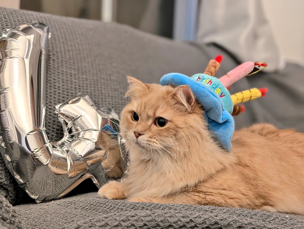 4さいになりました