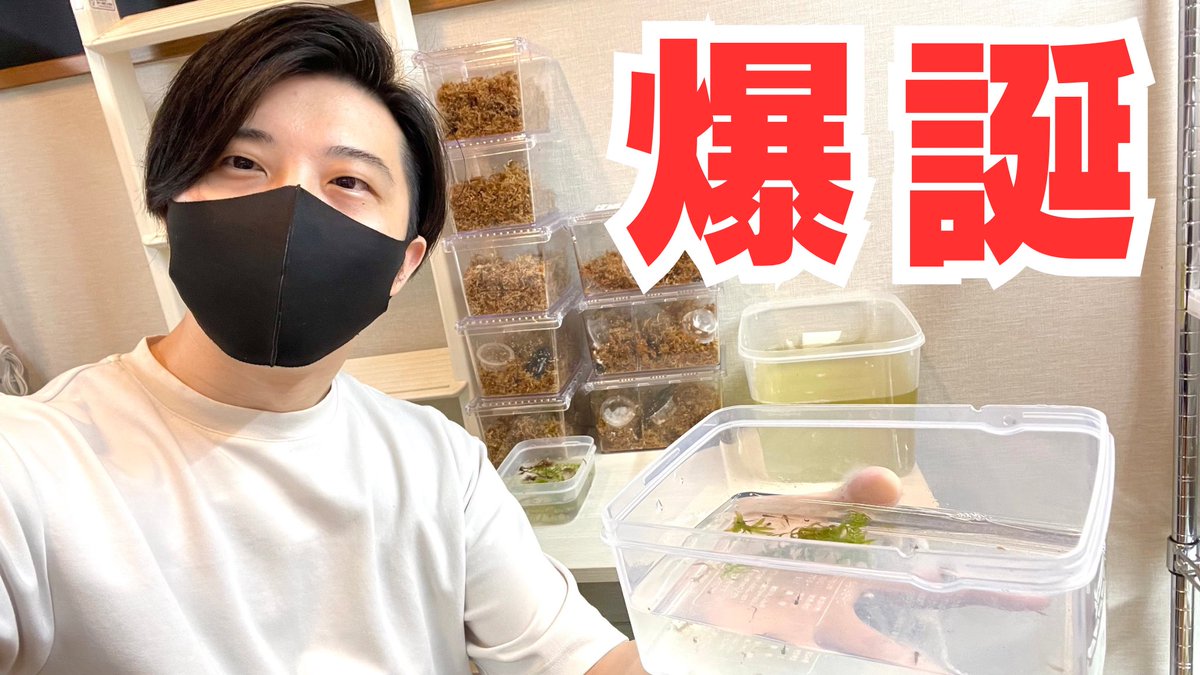 ▼YouTube更新

遂に爆誕！小さすぎて超ハードな飼育スタート！！
youtu.be/yTPnBn-hI7M

フォロー＆RPでRAFchステッカー当たります🎯
本日も宜しくお願いします🤲