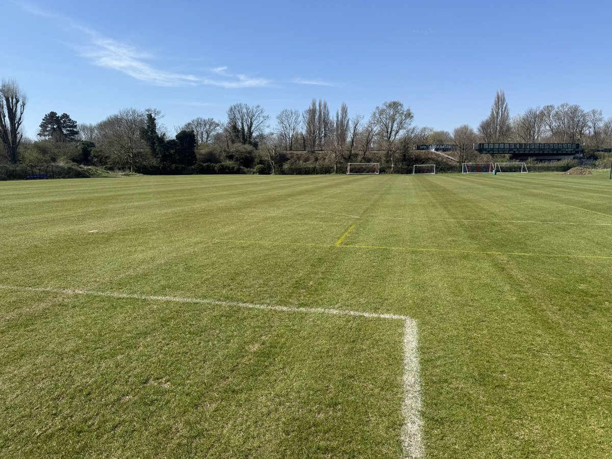 Louis Macklin tweet media