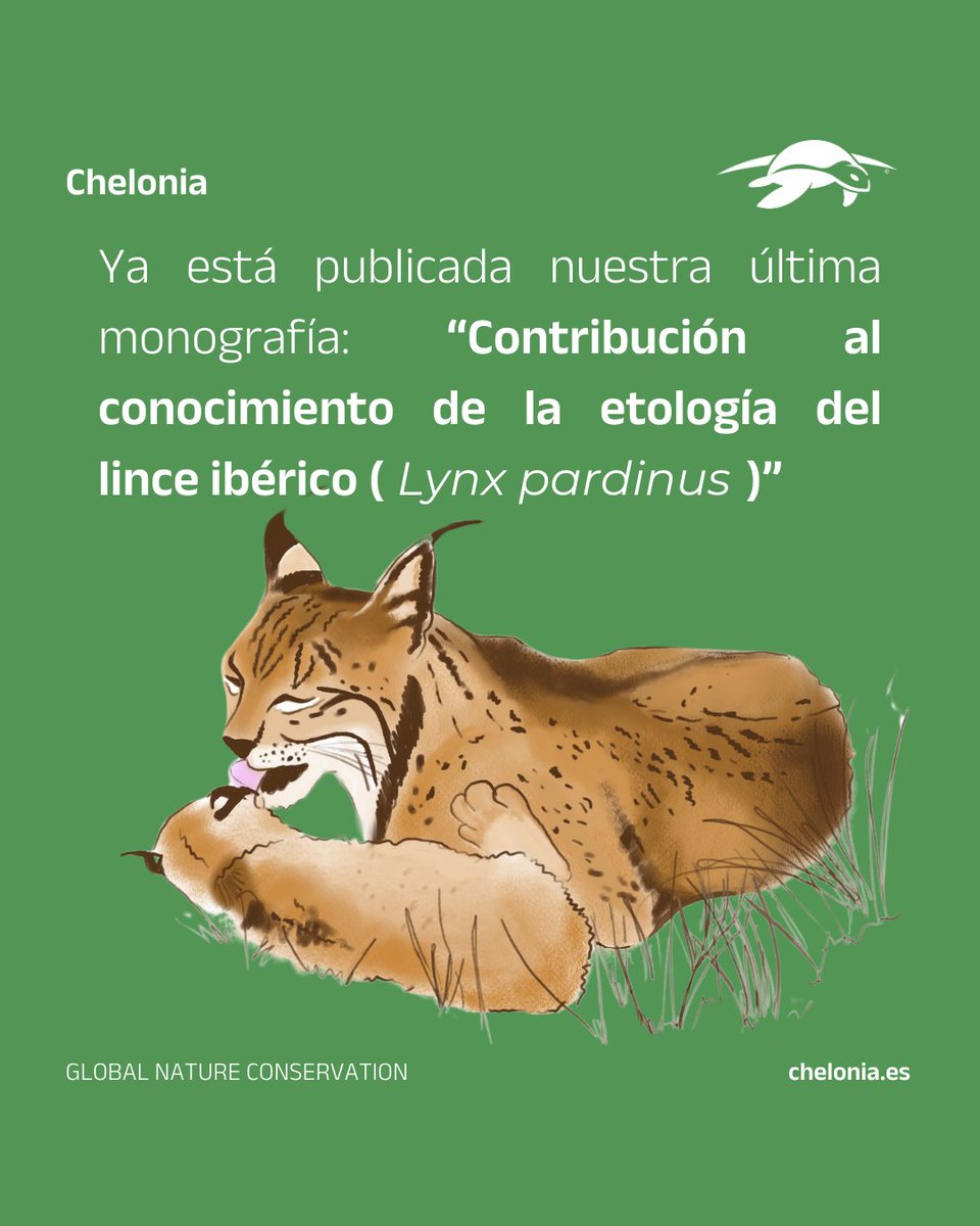 📣 Ya está publicada nuestra nueva monografía 🥳

Podéis descargala gratis en: chelonia.es/monografias/

#vivechelonia #monografia #linceiberico #lynxpardinus #etologia #comportamientoanimal #conservacion #ciencia #science #conservation #etology #aprende #educacionambiental