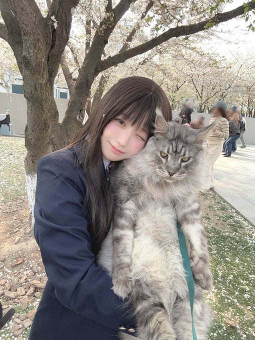 Twitterのコスプレ画像1