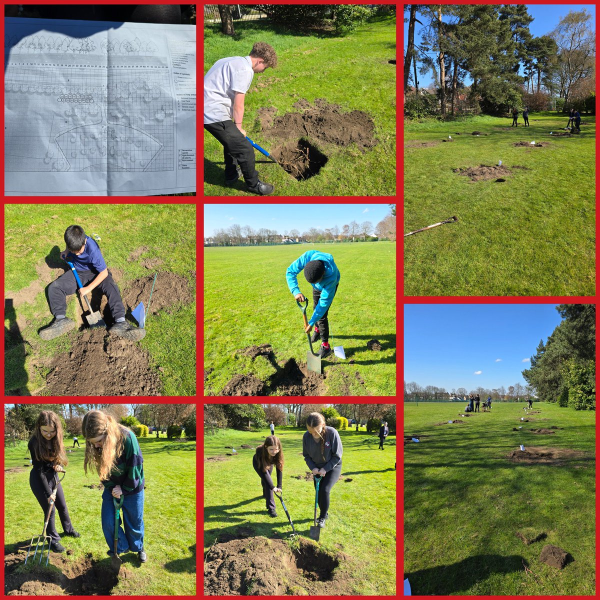 Y8 students have made a great start on our 180th anniversary orchard this morning #180YearsofLawnswood