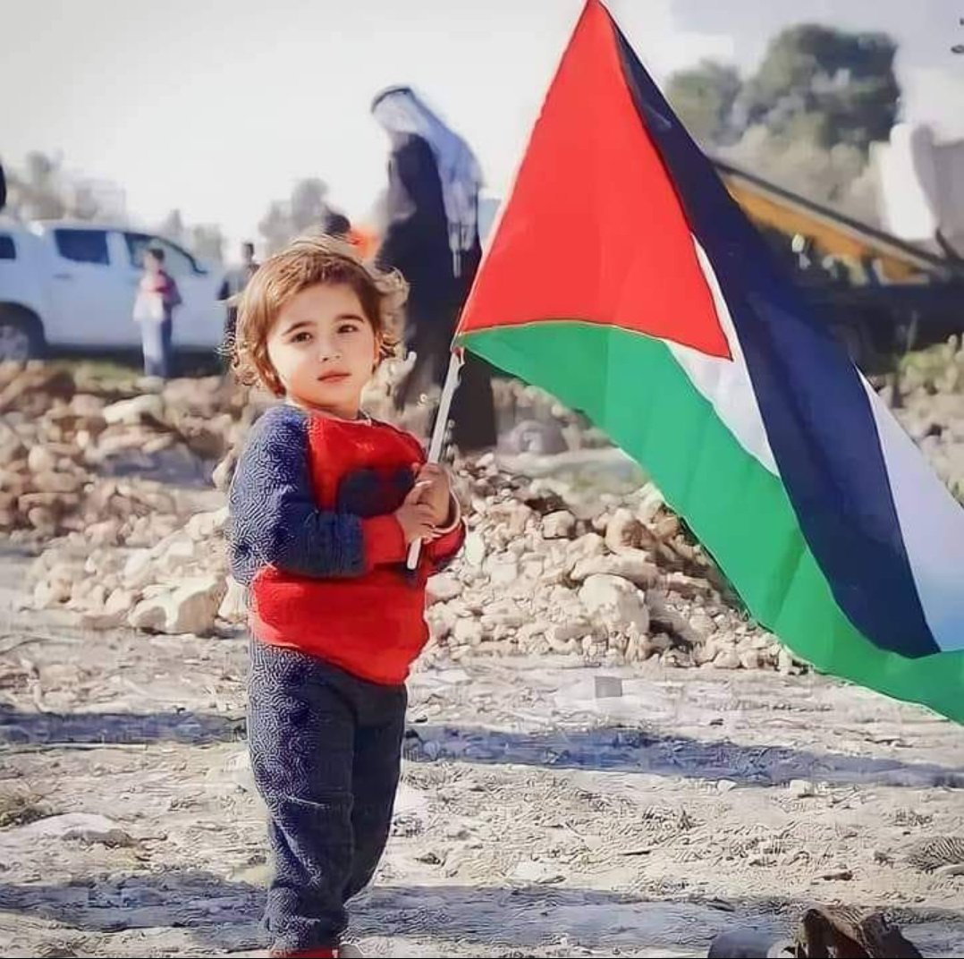 Can we get 3,000 people to reply with
“FREE PALESTINE”? 🇵🇸🍉