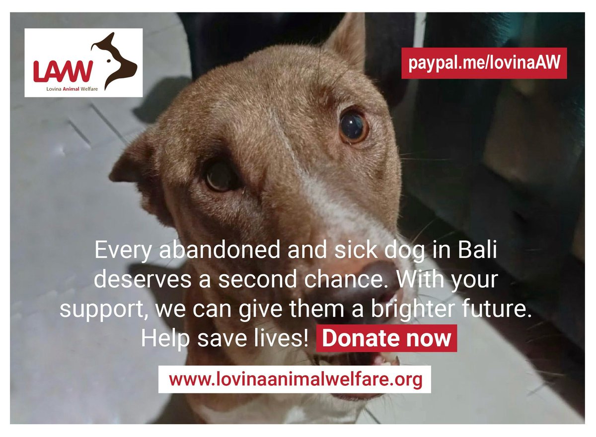 I don't think we can continue much longer and that's a terrifying thought. We have over 100 dogs in our care, besides getting medical help for cats in the area. 

Unfortunately 'Likes' don't keep us going, but they do make it seem we're getting more support than we actually are.