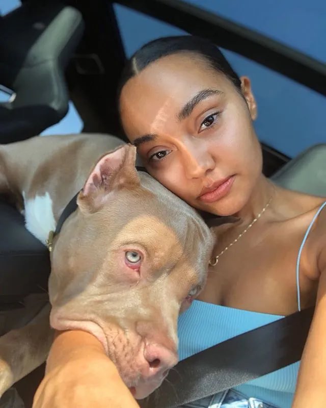 BeyondLeigh tweet media