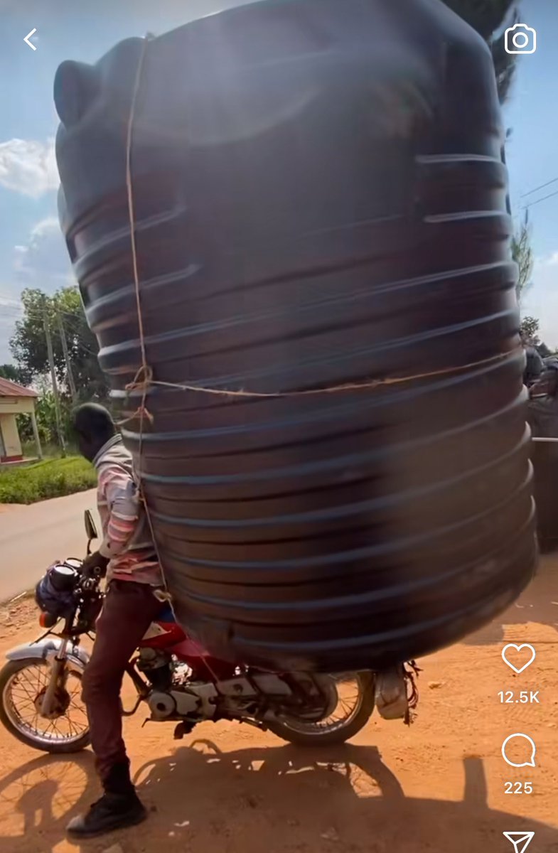 One day these guys will carry a house 🏠