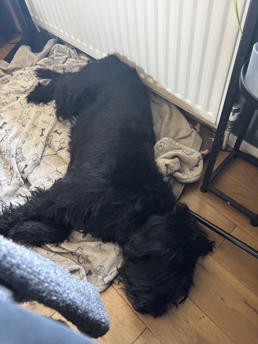 Sam Morris tweet media