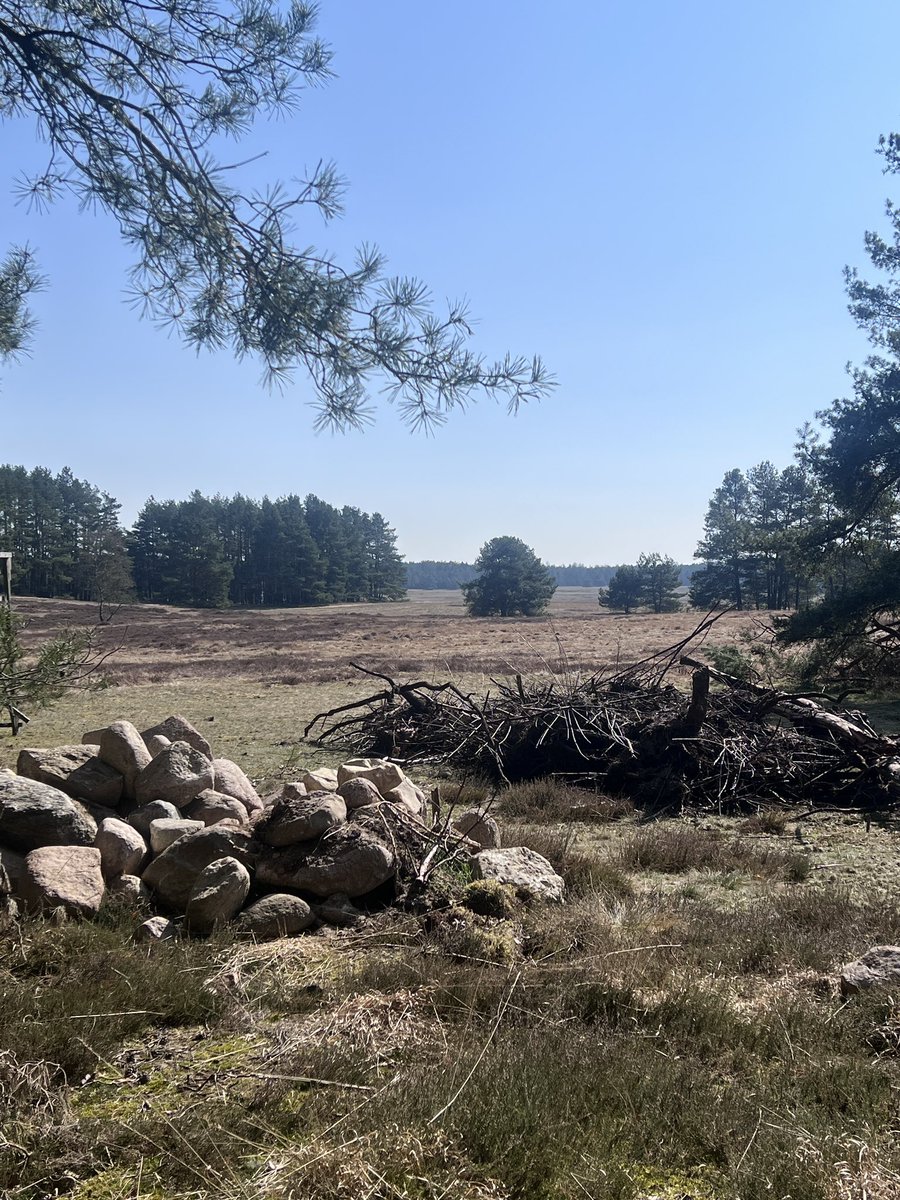 Truppenübungsplatz Landschaften im Sommer sind die besten