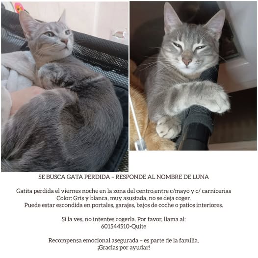 isagato62's tweet image. Albacete