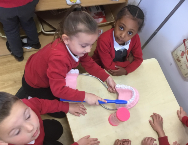 Aldermoor Farm tweet media