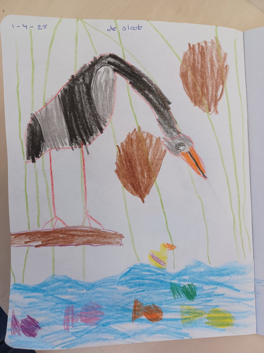 RinkeProoiReijnhoudt 💬 tweet media