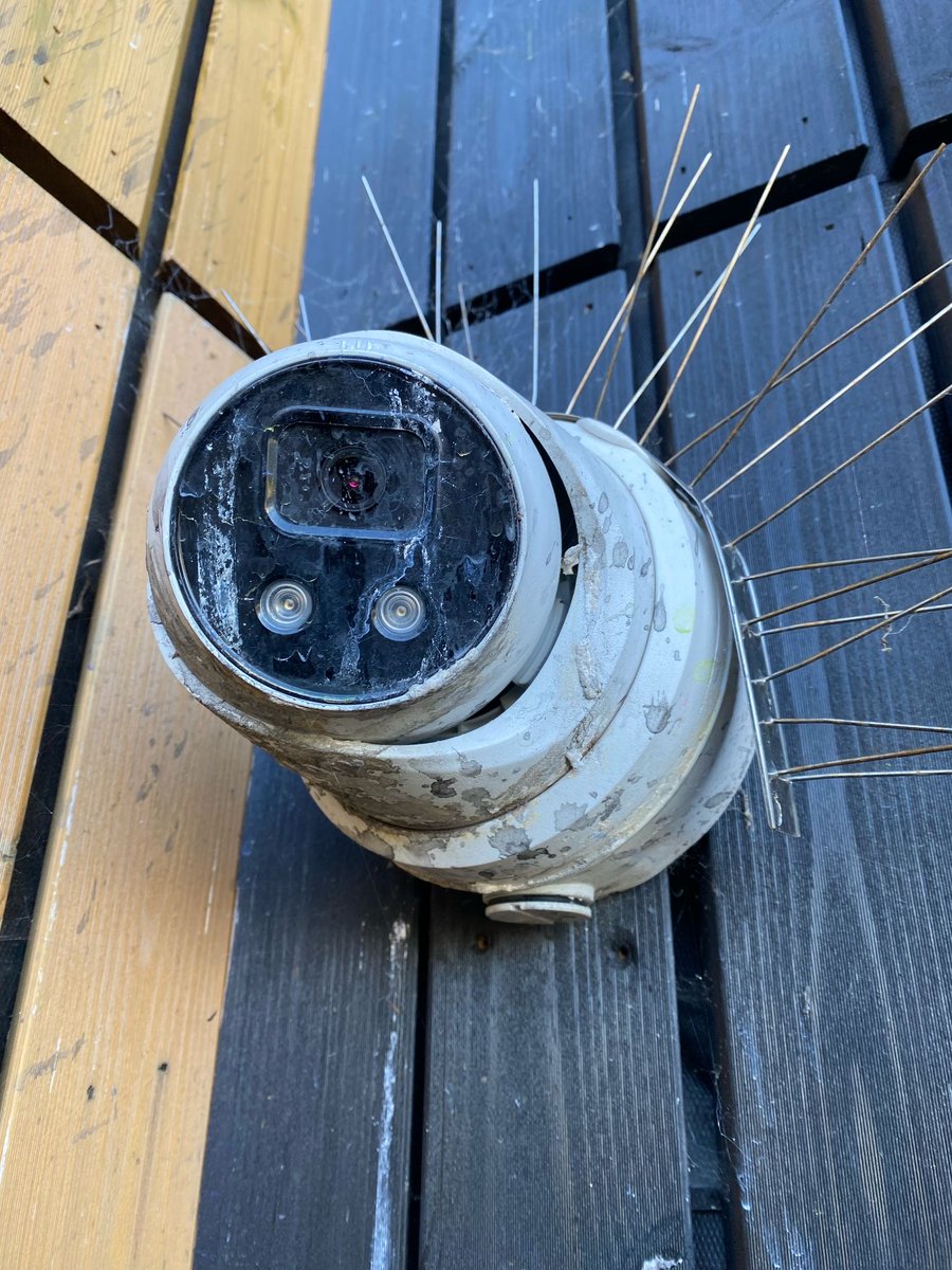 Vocosa IT tweet media