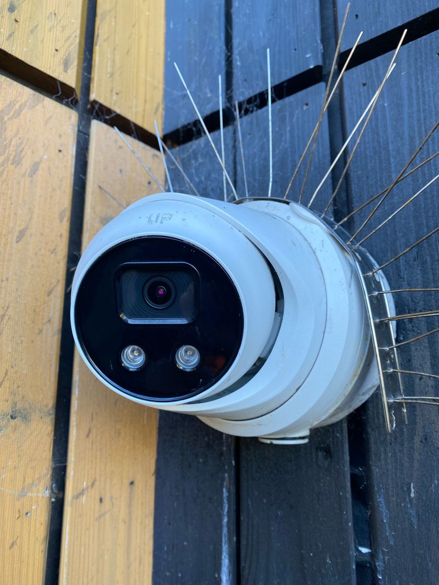 Vocosa IT tweet media