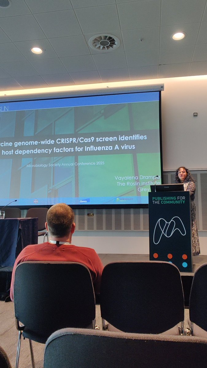 Federico De Angelis (@federicodeang12) on Twitter photo You thought we were done here? Think again. Incredible presentation by Grey lab PhD student <a href="/dr_vayalena/">Vayalena Drampa</a>, on CRISPR screens to identify IAV restriction factors in pigs #Microbio25 keeps delivering fantastic science You thought we were done here? Think again. Incredible presentation by Grey lab PhD student <a href="/dr_vayalena/">Vayalena Drampa</a>, on CRISPR screens to identify IAV restriction factors in pigs #Microbio25 keeps delivering fantastic science